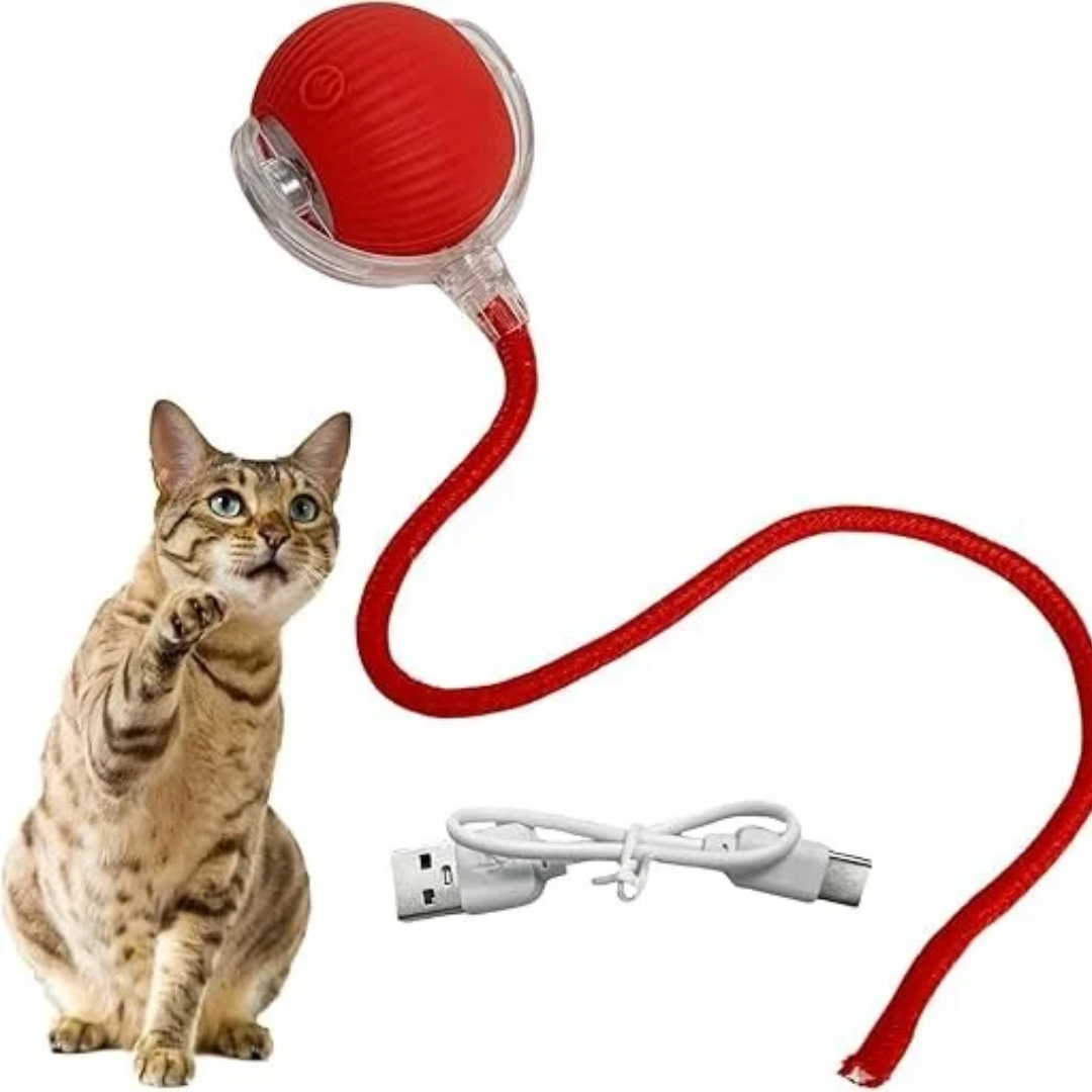 Rolling Cat Ball