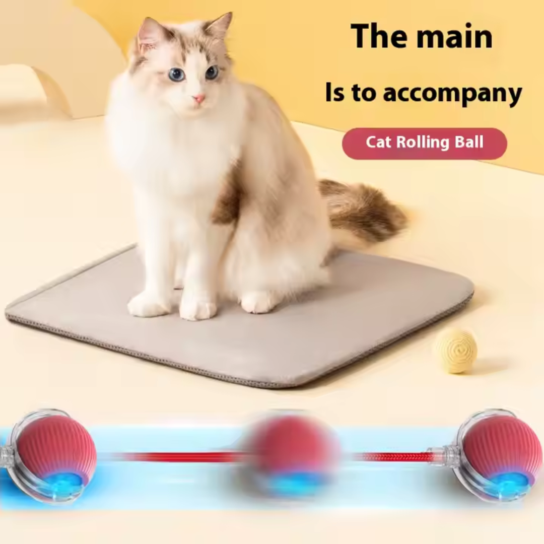 Rolling Cat Ball