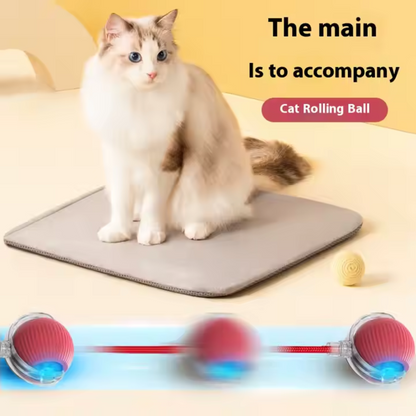 Rolling Cat Ball