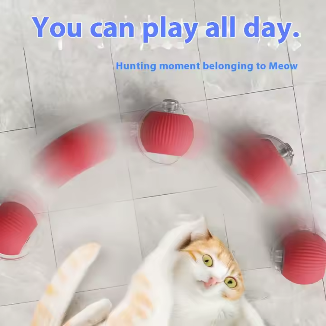 Rolling Cat Ball