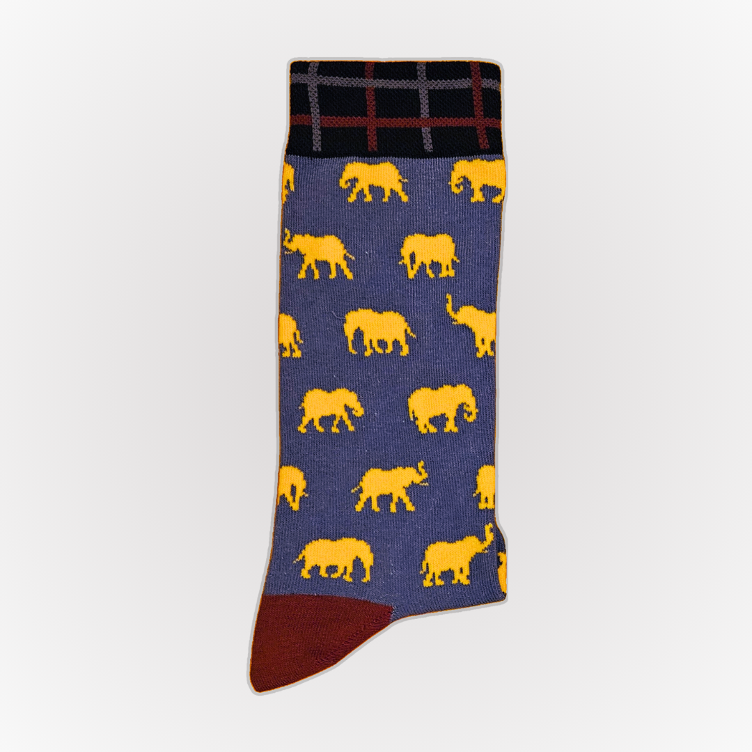 Trunk Fashion